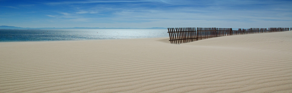 Tarifa